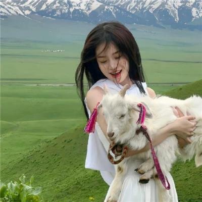 人前叫多莉,人后叫凯蒂