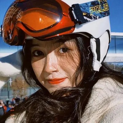 动物宝宝